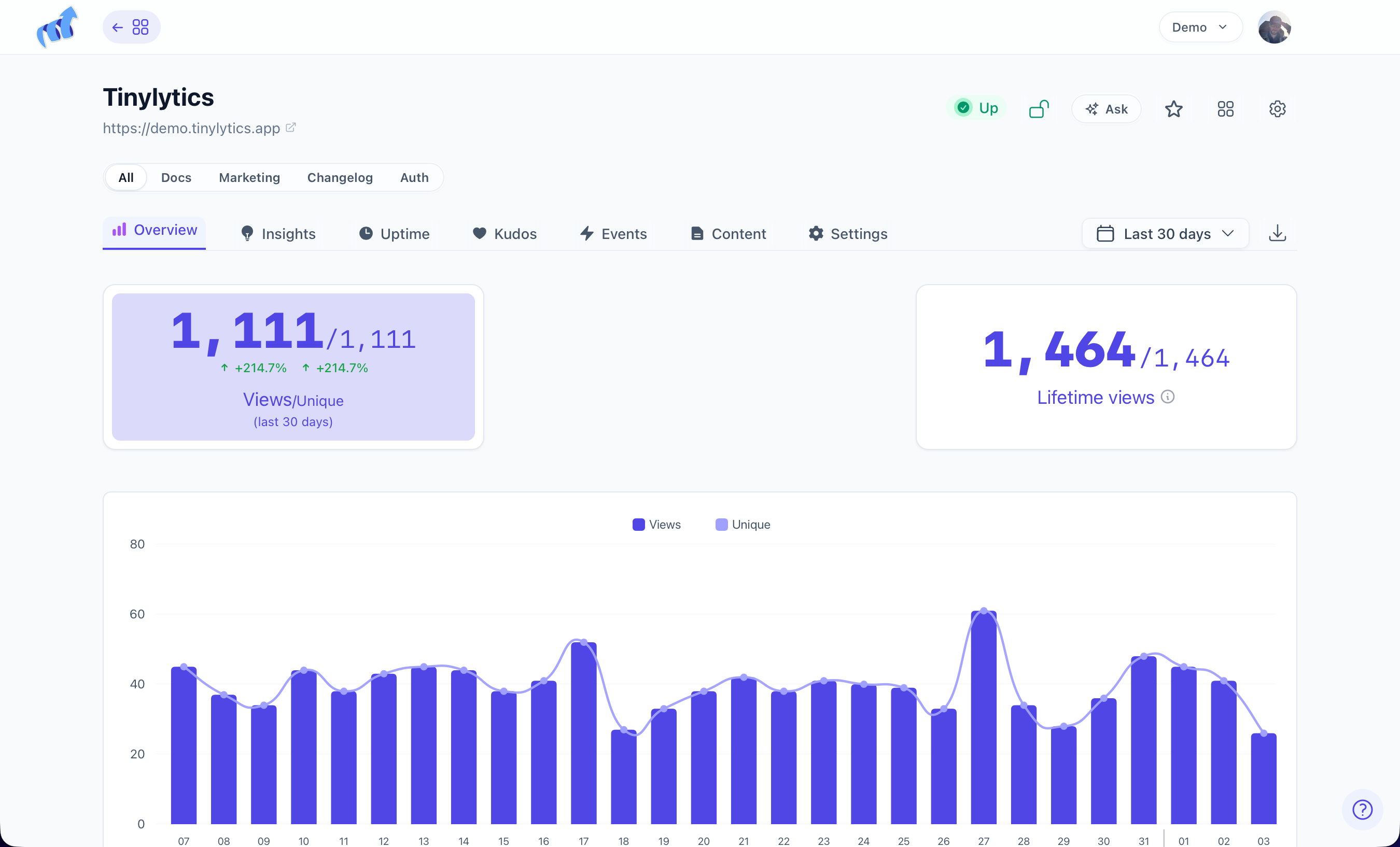 Tinylytics Overview on the public demo, with a hits chart and stats.