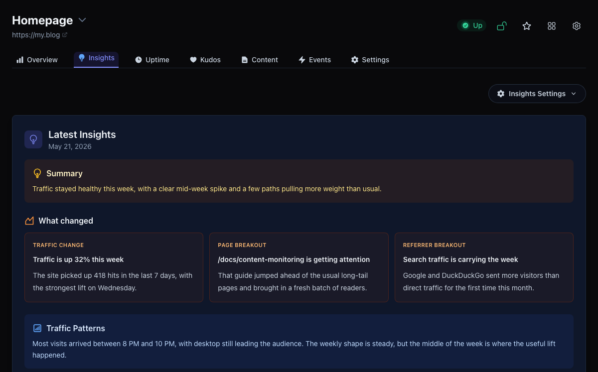 Tinylytics automated insights view with traffic analysis and recommendations