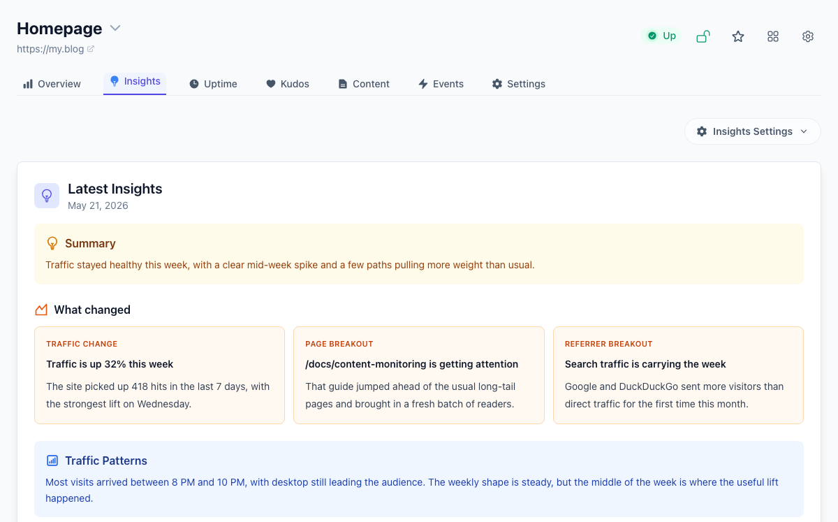 Tinylytics automated insights view with traffic analysis and recommendations