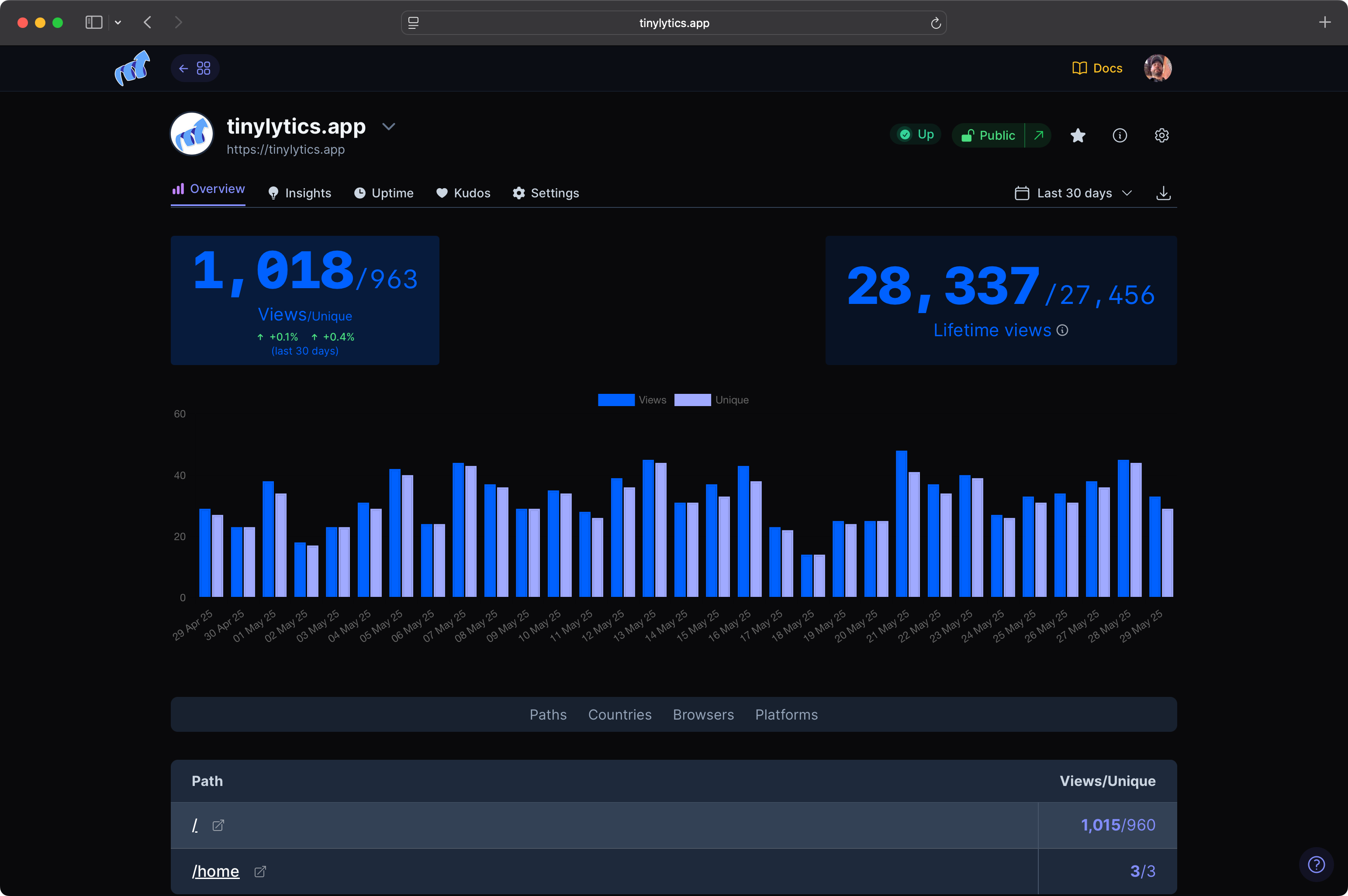 Tinylytics analytics dashboard in dark mode showing visitor statistics and insights